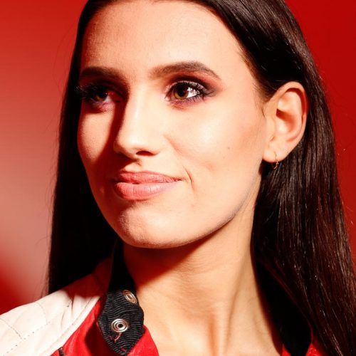 karin van den hoogen